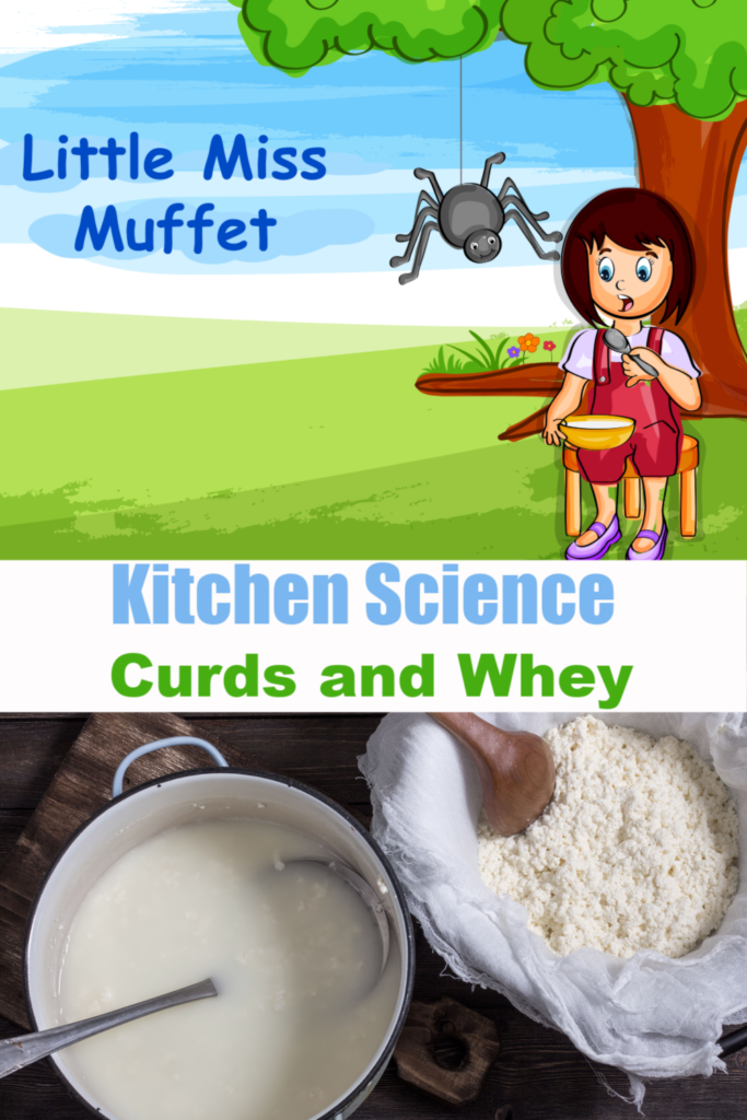 Make curds and whey like Little Miss Muffet. Fun kitchen science and nursery rhyme science activity for kids #littlemissmuffet #nurseryrhymeactivities #scienceforkids #kitchenscience