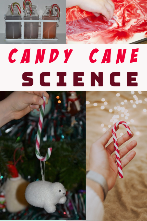 things to do with leftover candy canes #scienceforkids #christmasscience #candycanes #candycaneactivities