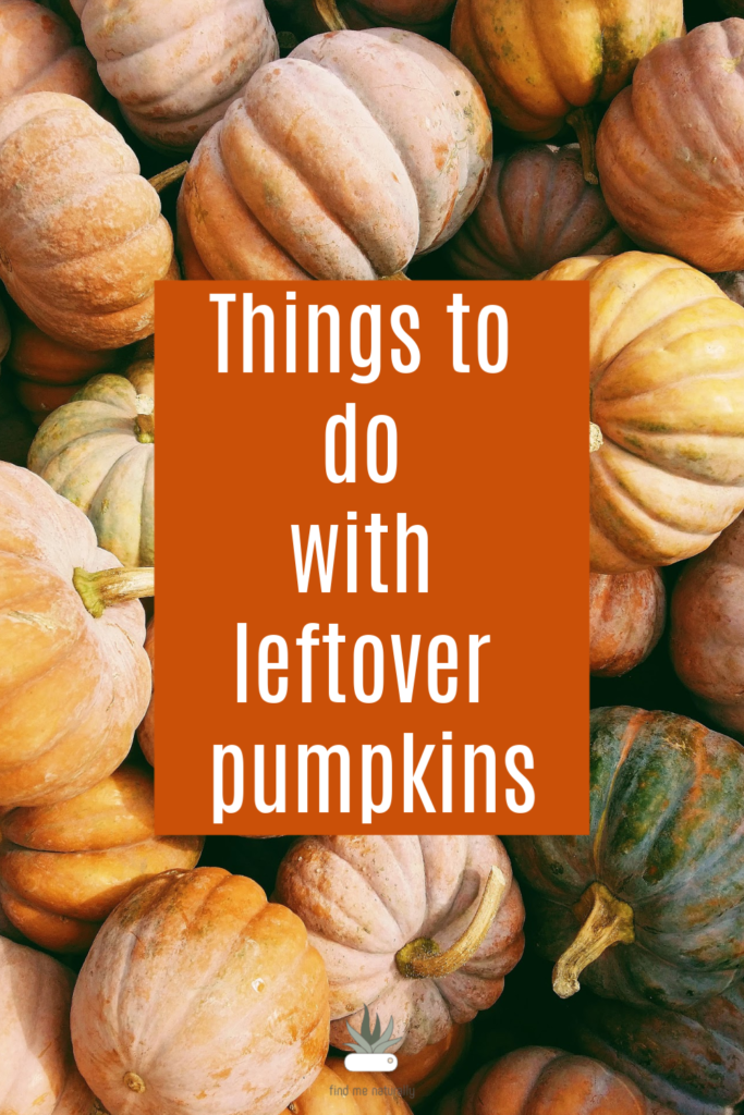 Easy ideas for things to do with leftover pumpkins #Halloweenscience #pumpkinexperiments #Scienceforkids