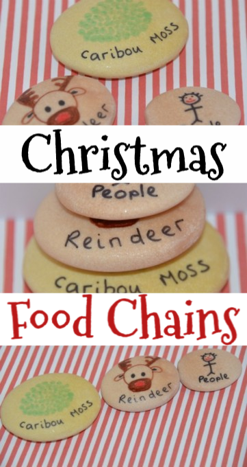 Fun Christmas food chain themed activity #scienceforkids #foodchains #christmasscience #Christmasfoodchains #foodchainsforkids