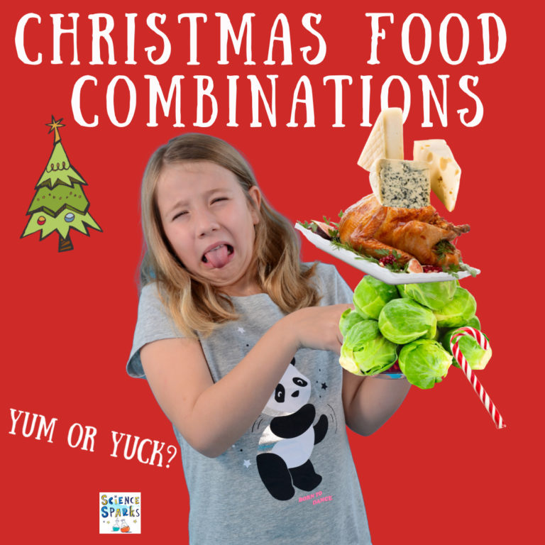 The Science Behind Christmas Food Combinations