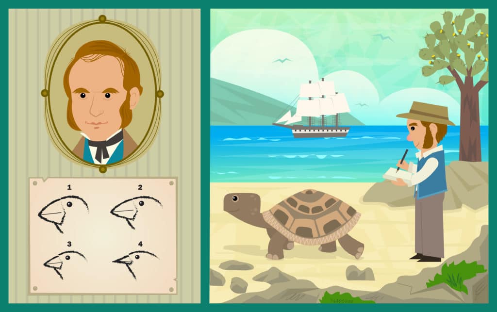 Cartoon image of Charles Darwin, bird beaks and a turtle