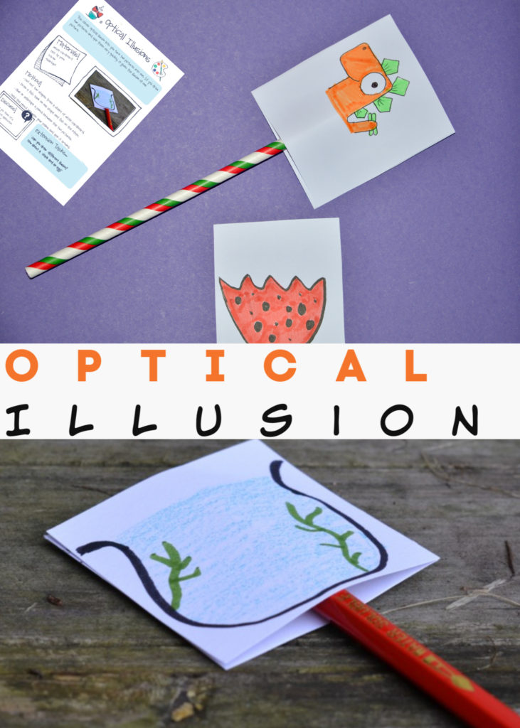 Easy optical illusion for kids made with white card and a straw. #scienceforkids #sciencewithpaper #opticalillusion #coolscience