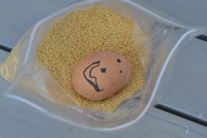 boiled egg in cous cous for an egg drop experiment