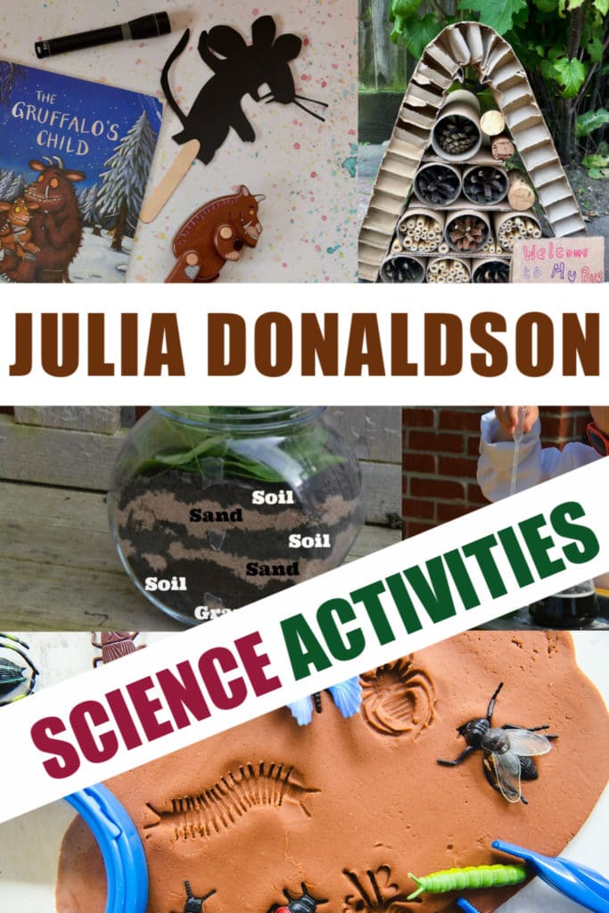 Huge collection of activities based around the Julia Donaldson books. Superworm activities, Gruffalo experiments,  room on the Broom investigations and more science for kids #JuliaDonaldson #BookActivities #preschoolscience #superworm #gruffalo #roomonthebroom #zog