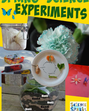 Spring Science Experiments