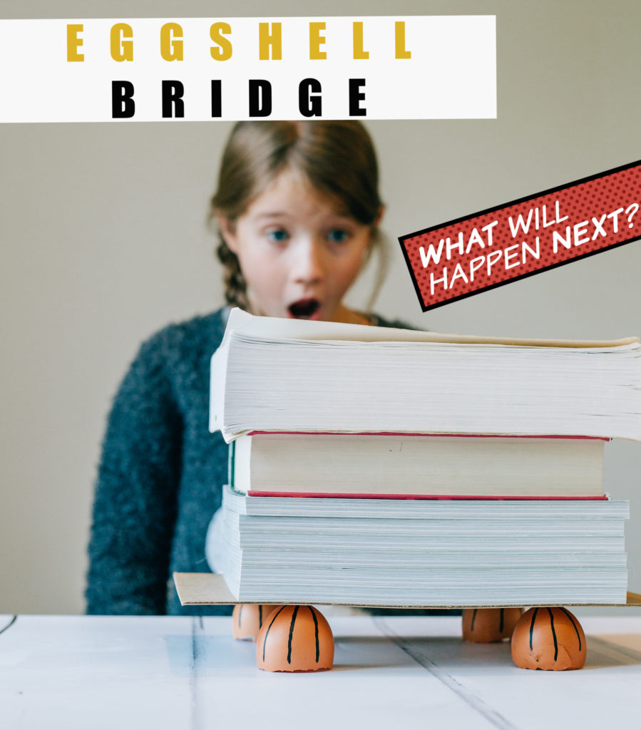 Bridge made from half eggshells for a science experiment