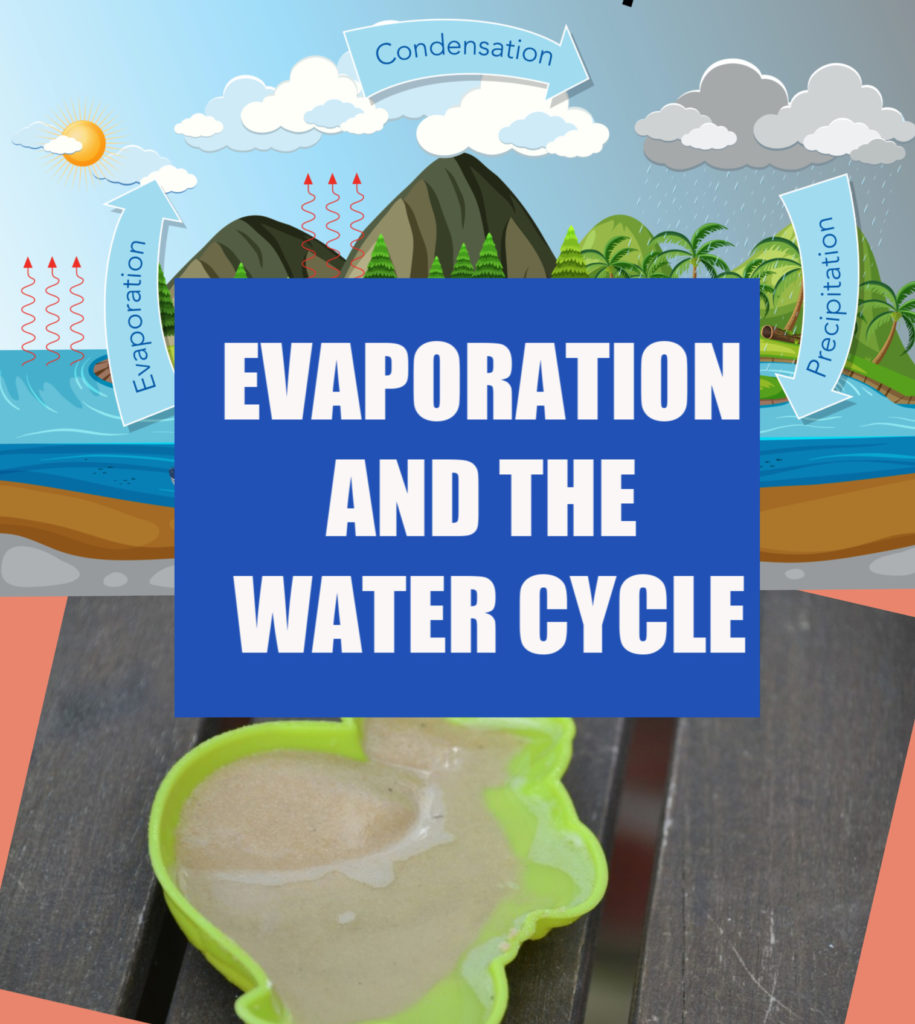 Evaporation and the water cycle - easy science for kids  #watercycle #evaporation