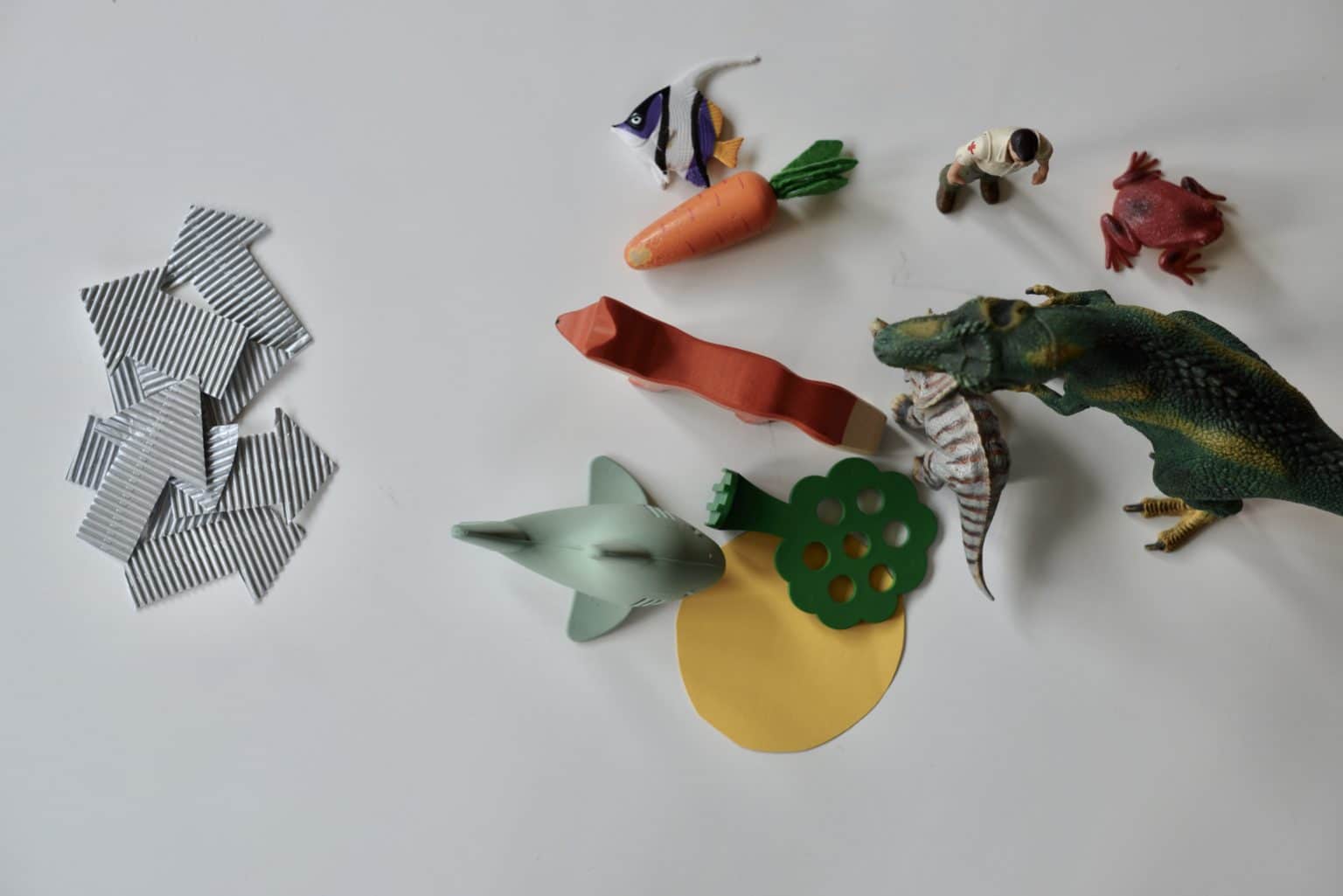 Food Chains for Kids Biology Diagrams