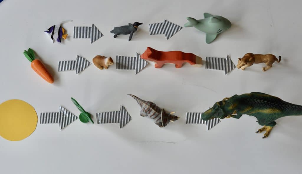 Toy animals and arrows - food chains for kids