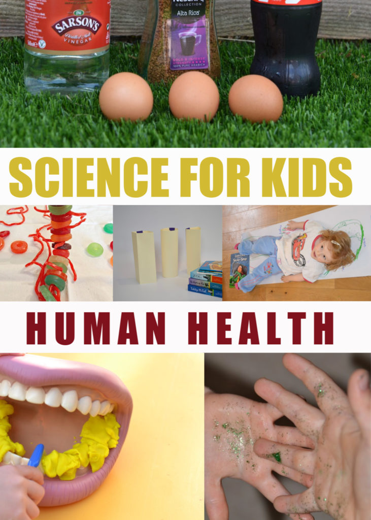 Hygiene and human health experiments for key stage 1 #scienceforkids #funscience #humanhealth