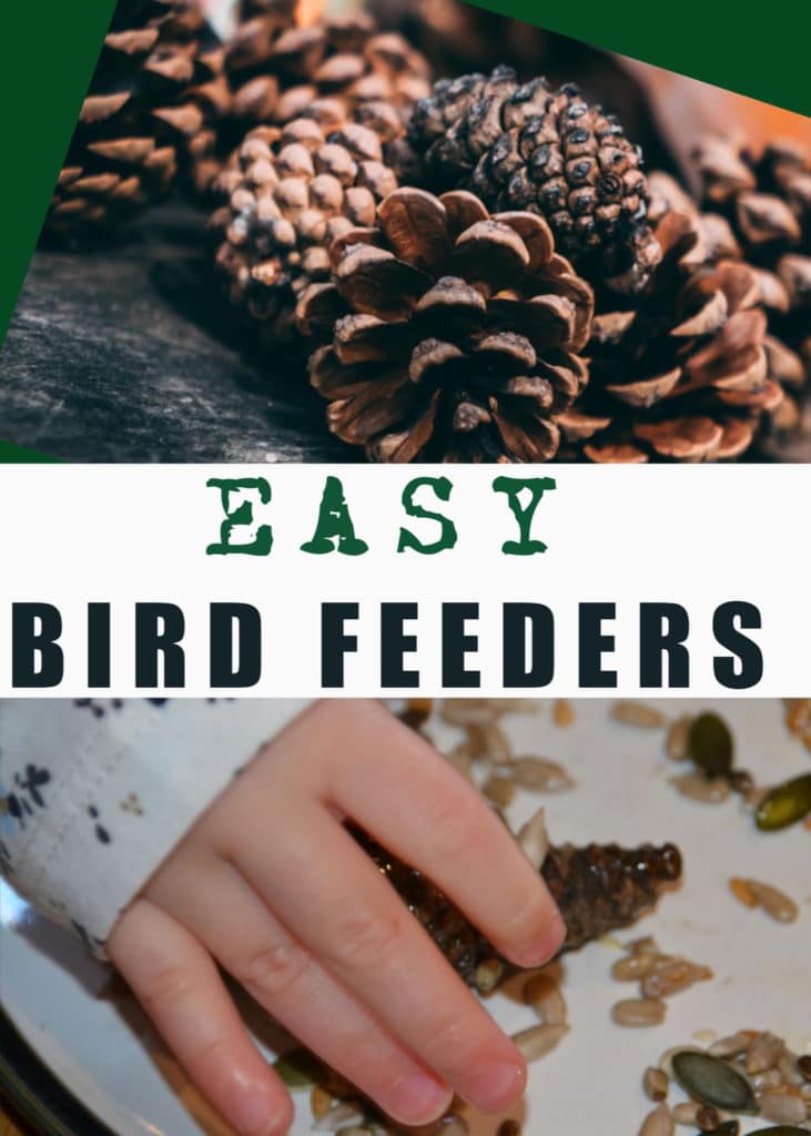 Easy bird feeders for kids to make using  pinecones, lard and seeds #birdfeeders #scienceforkids #outdoorscience