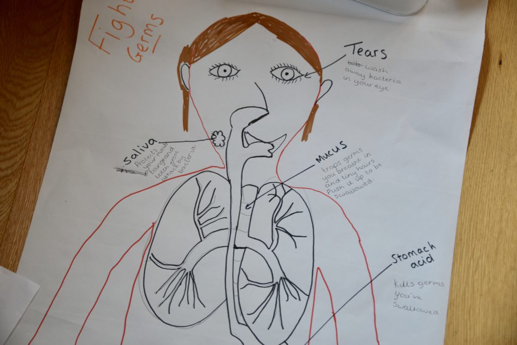 child drawn image of body parts