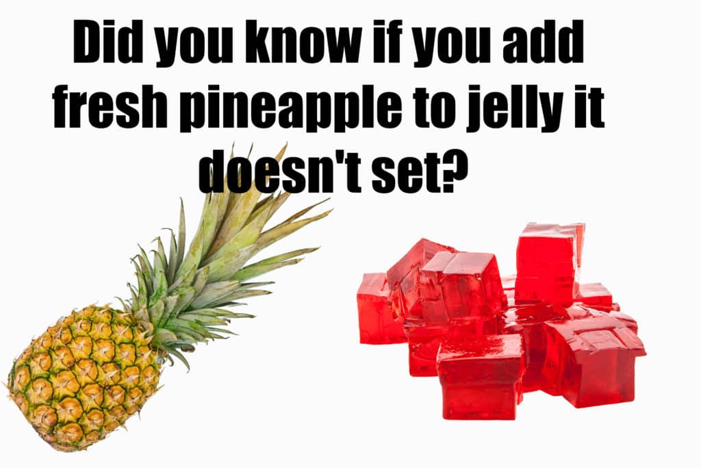 Pineapple and jelly image for an investigation into whether pineapple stops jelly setting. Why does pineapple stop jelly setting?