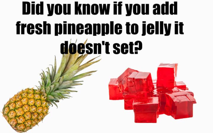 Pineapple and jelly experiment