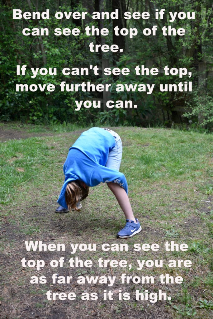 child bending over to try a fun technique for working out the height of a tree.