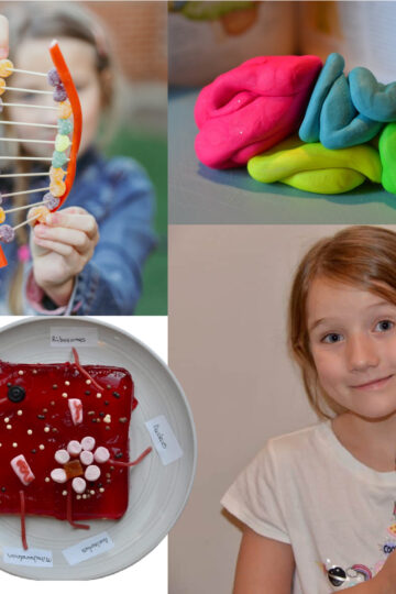 collection of human body science experiments
