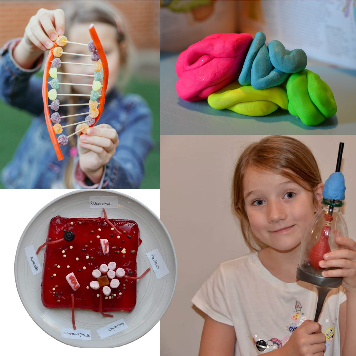 Science experiments for learning about the human body
