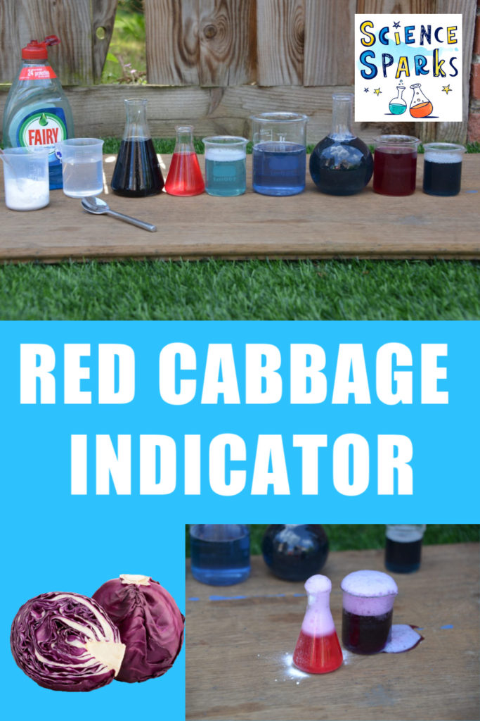 Use red cabbage to make a pH indicator. Brilliant kitchen science and chemistry experiment for kids #chemistryforkids #kitchenscience #redcabbageindicator