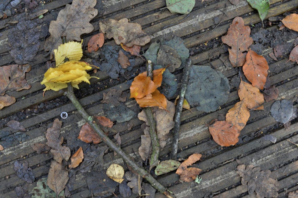 decorated pooh sticks