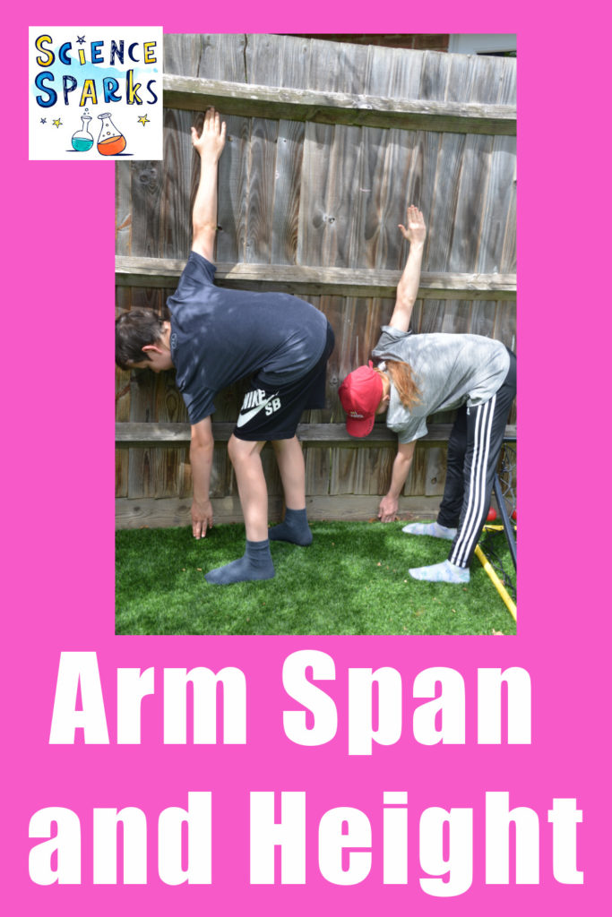 Discover the relationship between arm span and height. #scienceforkids #armspan