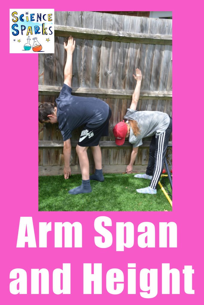 Entdecken Sie die Beziehung zwischen Armspannweite und Größe. #scienceforkids #armspan