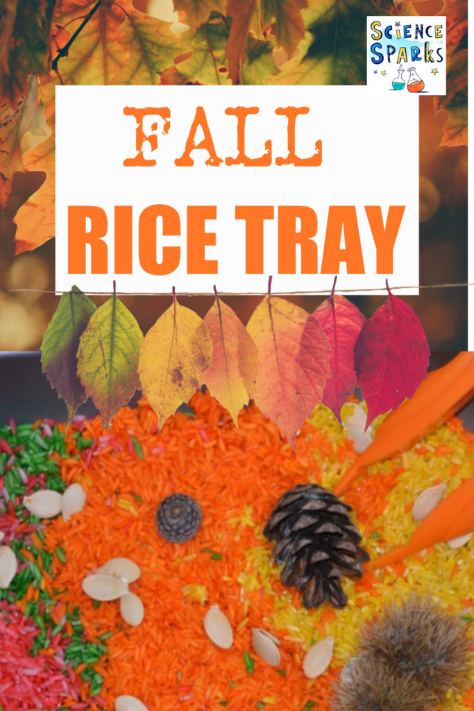 Fall Rice Tray - great seasonal fine motor skill activity. Rice coloured with red, yellow and orange with pinecones, pumpkin seeds and tweezers