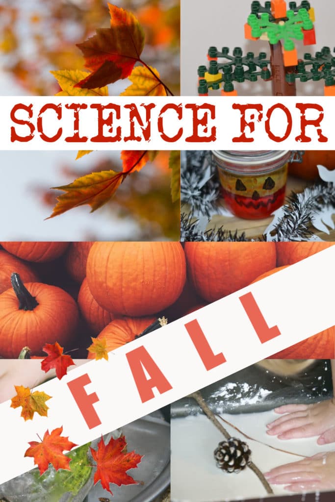 Brilliant Fall science experiments for kids -  pumpkin lava lamps, LEGO models, tree activities, leaf chromatography and more easy #autumnscience #fallscience #scienceforkids #seasonsactivities