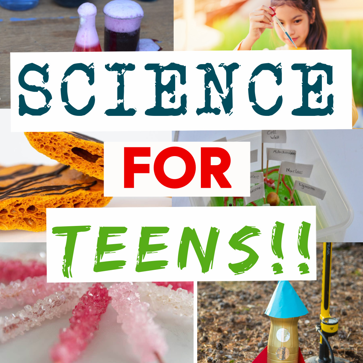science for teens