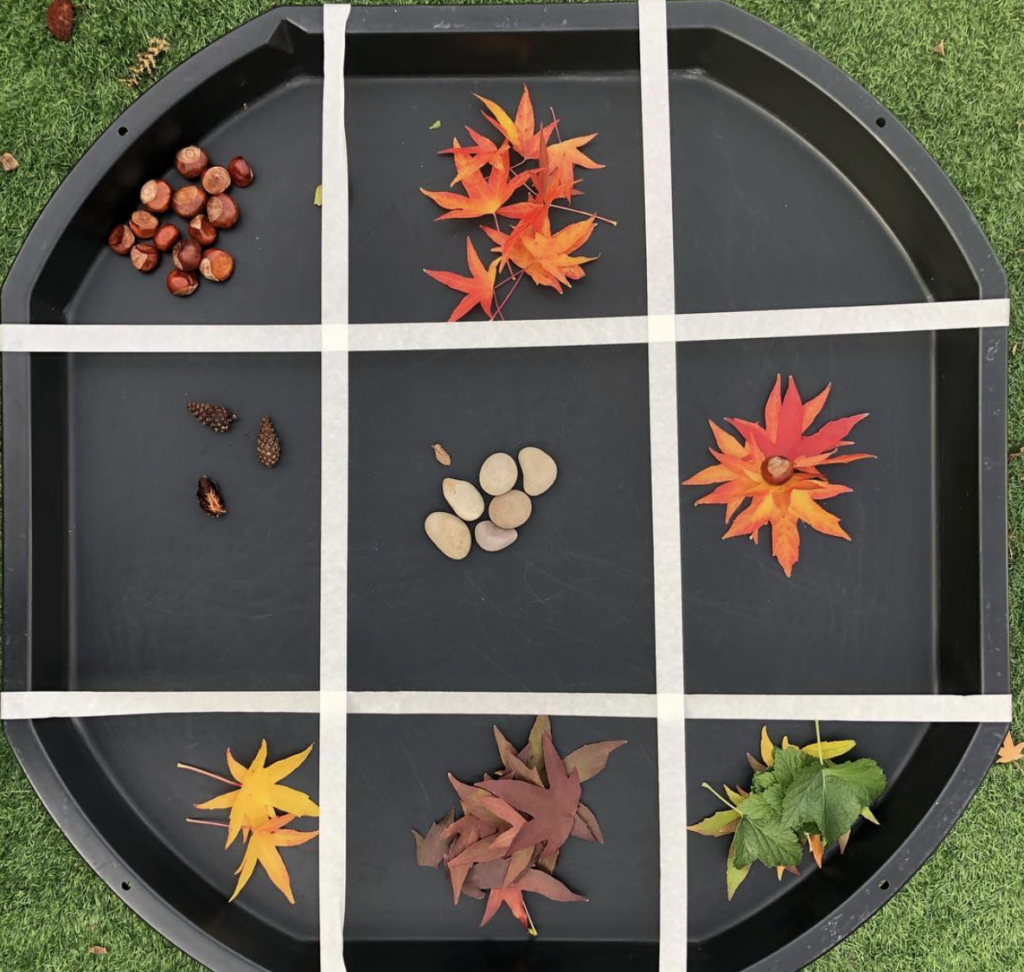 Tuff tray with masking tape over the top to divide it into sections. Different coloured leaves and other autumn nature items are in each section.