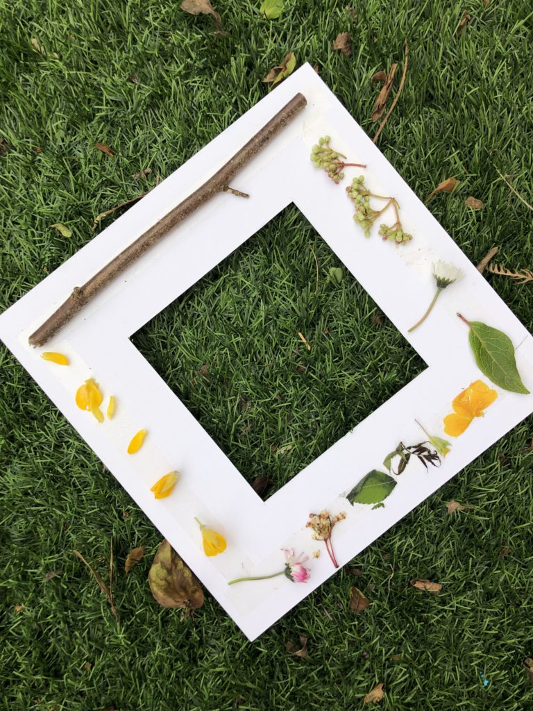 cardboard frame with different natural items attached to it.