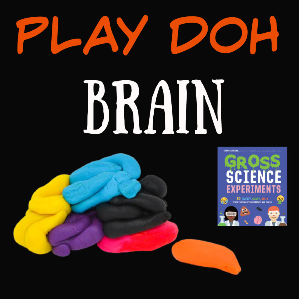 Play doh brain activity, taken from Gross Science #Scienceforkids #halloweenscience