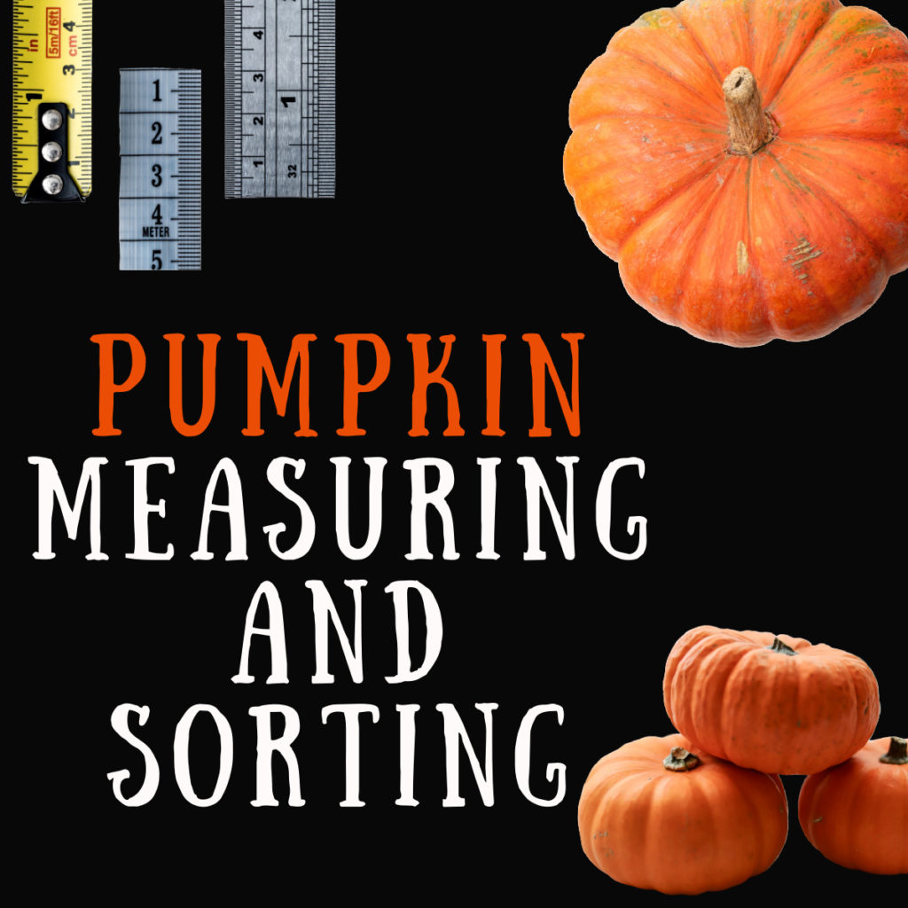 Collage of pumpkins and rulers for a pumpkin measuring activity