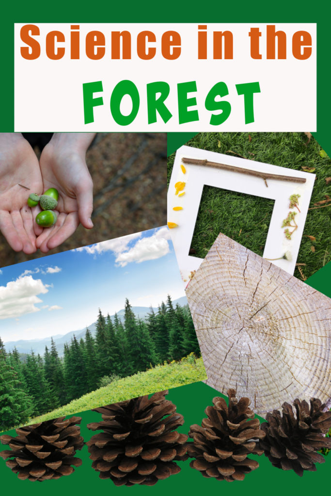 Collection of science ideas for fun in the forest. Woodland science ideas for kids #scienceforkids #funscience #forestscience #outdoorscience #forestschool