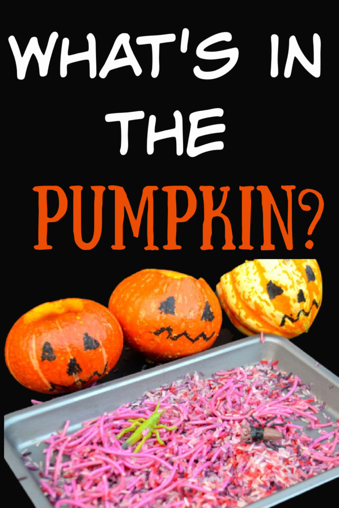 What's in the Pumpkin!! Fun spooky #HalloweenScience for kids!! Hollowed out pumpkins filled with slimy spaghetti and other things 