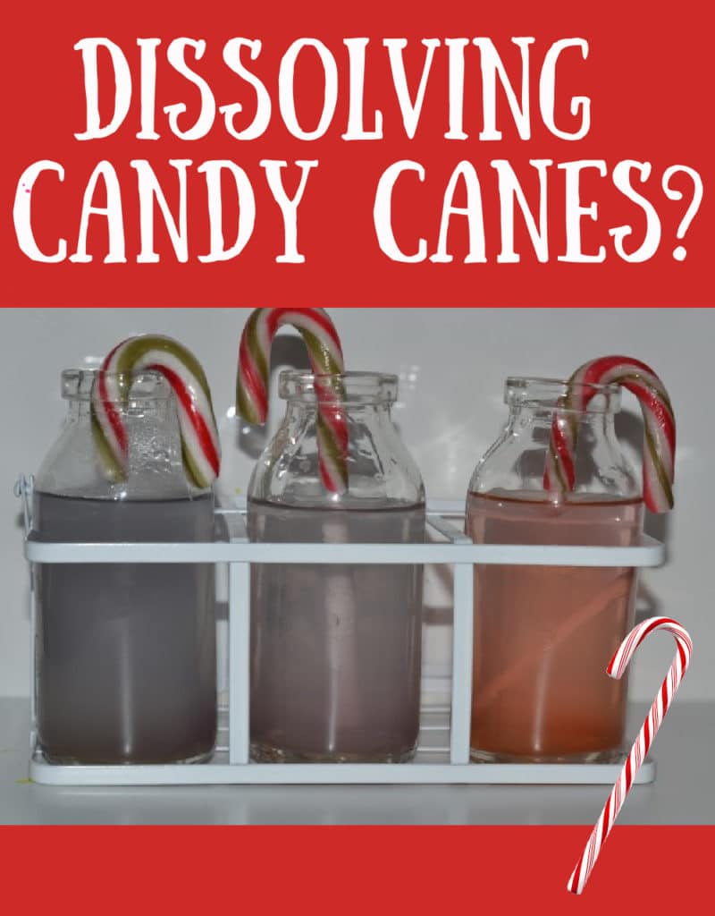 Image of candy canes sat in different liquids for a Christmas science investigation