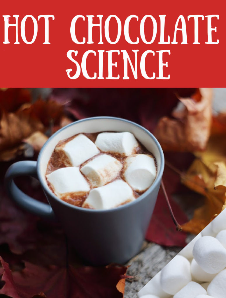 hot chocolate with marshmallows melting on the surface for a science investigation.