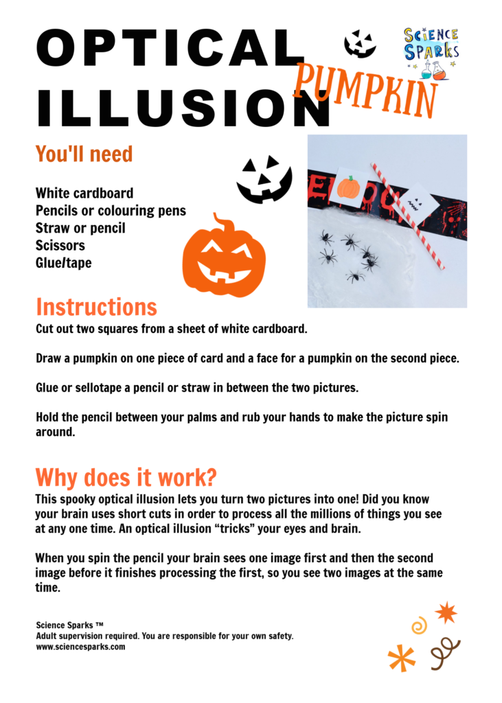 pumpkin optical illusion experiment instructions