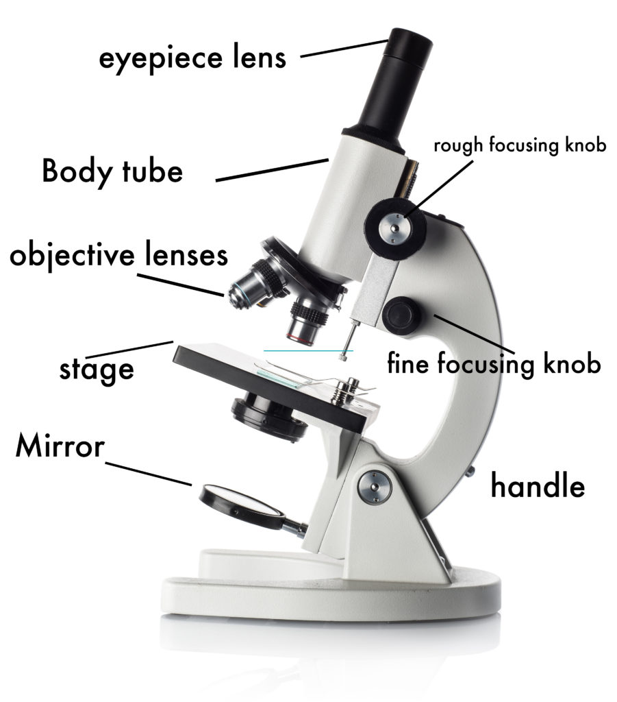 parts of a microscope presentation