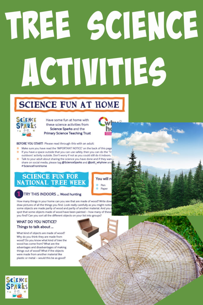 Easy Tree themed science investigations for National Tree Week #scienceforkids #naturescience #treescience