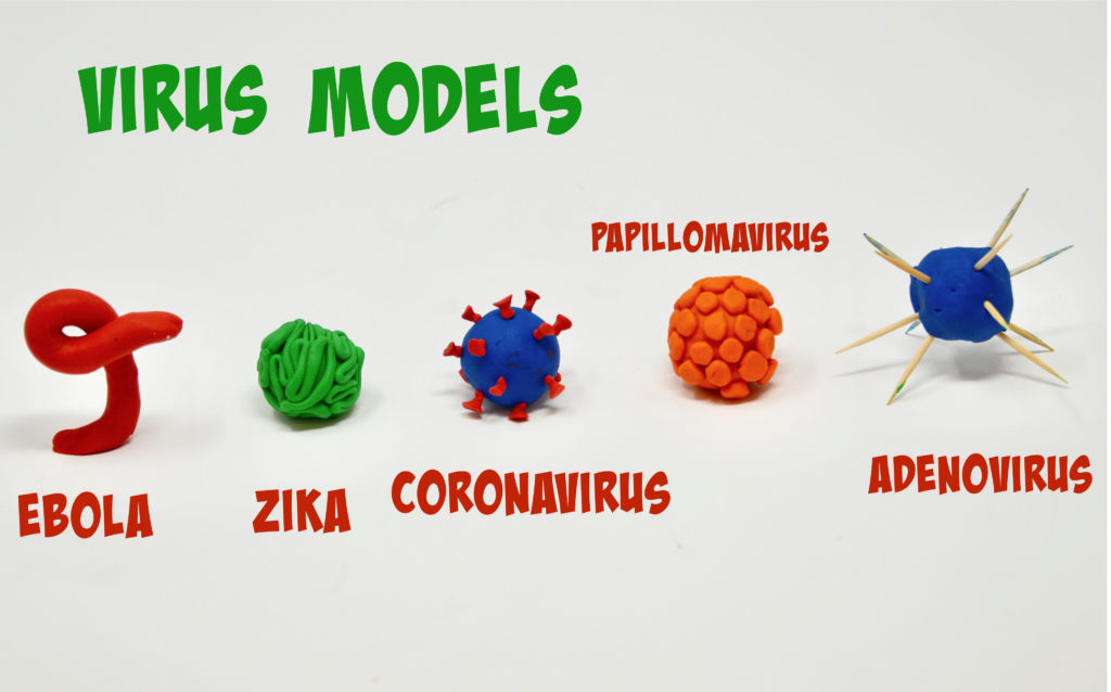 play dough virus models