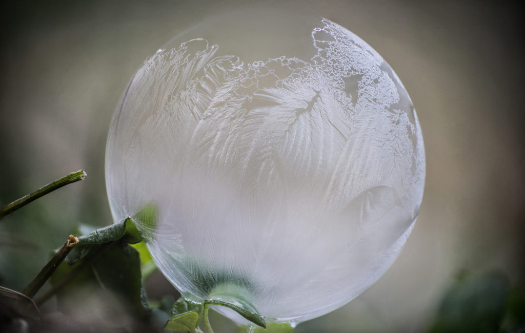 frozen bubble resting on a tree branch