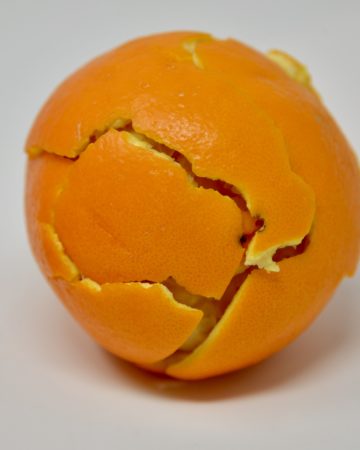 orange using peel to demonstrate plate tectonics