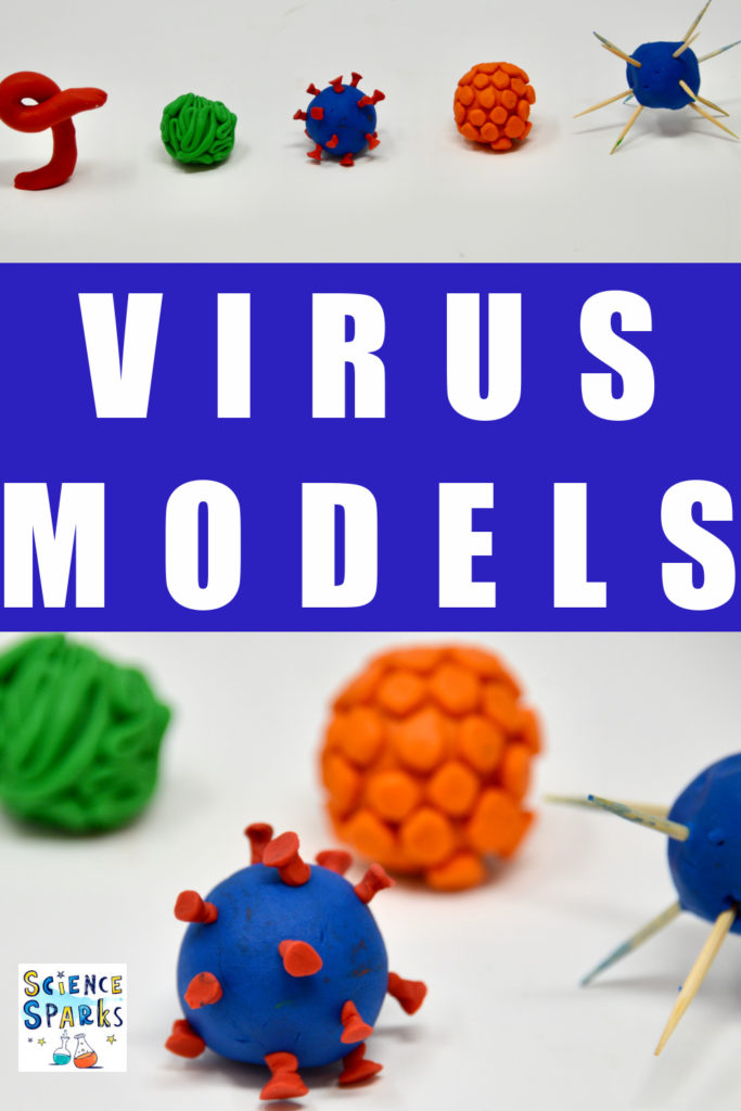 Learn about the structure of viruses by making play dough or plasticine virus models. #virology #virusesforkids #viruses #biologyforkids