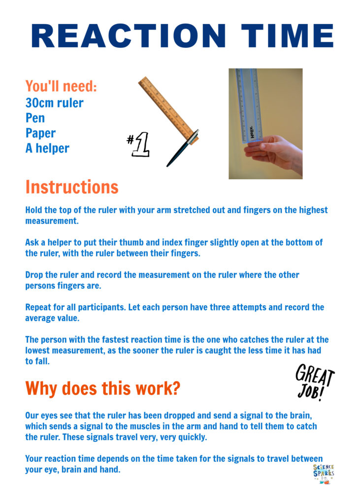 ruler reaction time test instructions printable sheet