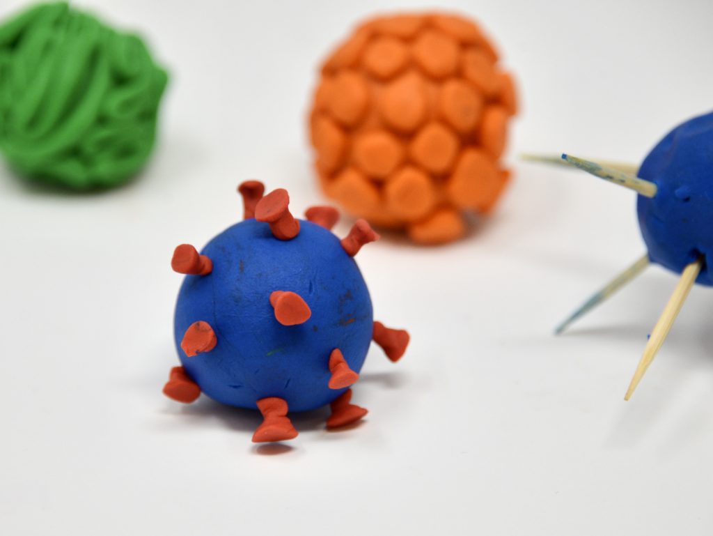 Playdough model of Ebolaand Cornonavirus