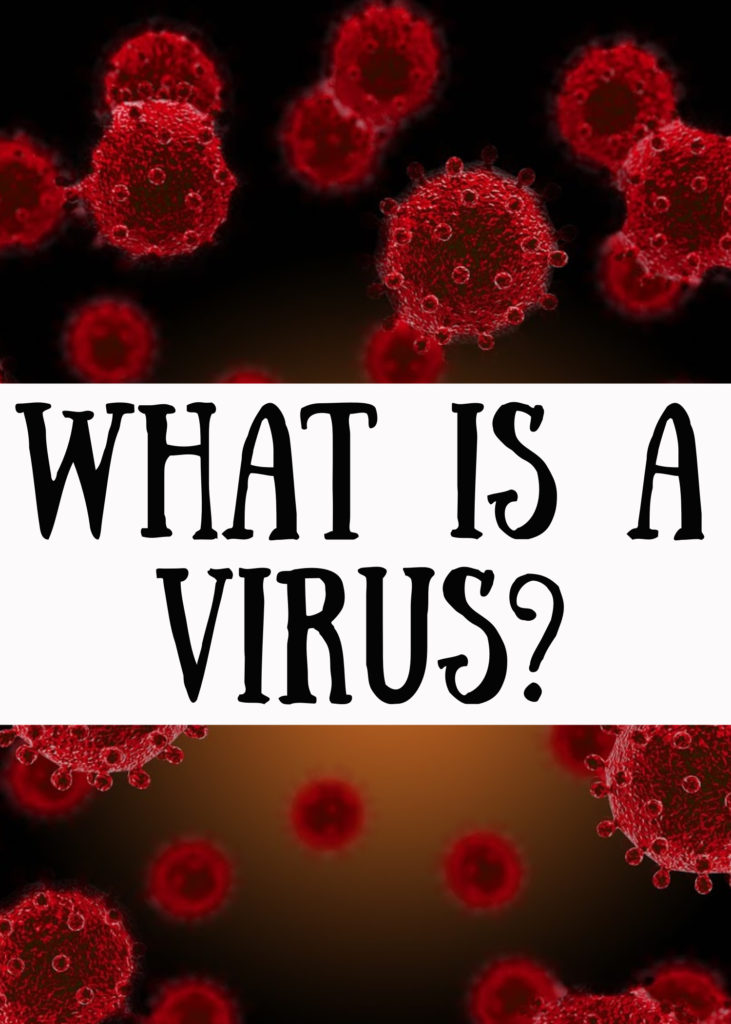 What is a virus - viruses for kids - Virus Facts #virology #biologyforkids #Virusfacts 