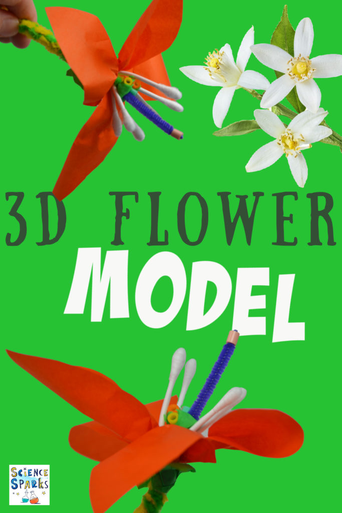 Image of a 3D flower model from ear buds, pipe cleaners and tissue paper