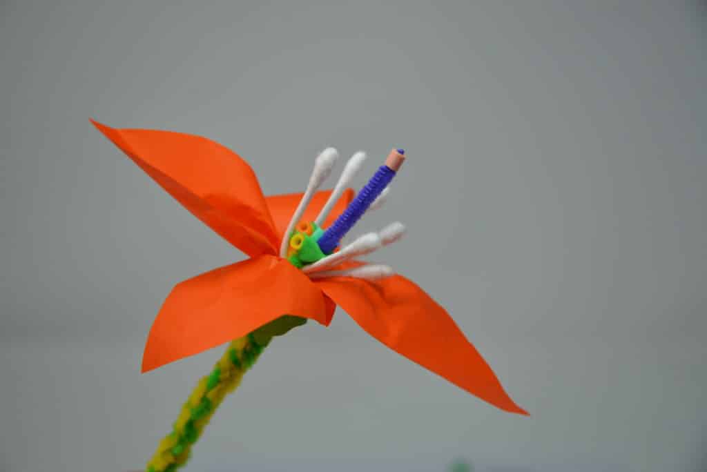 3D model of a flower, showing all the component parts including stamen, filament and anther