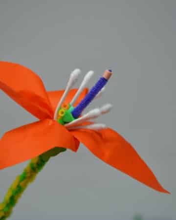 3D model of a flower, showing all the component parts